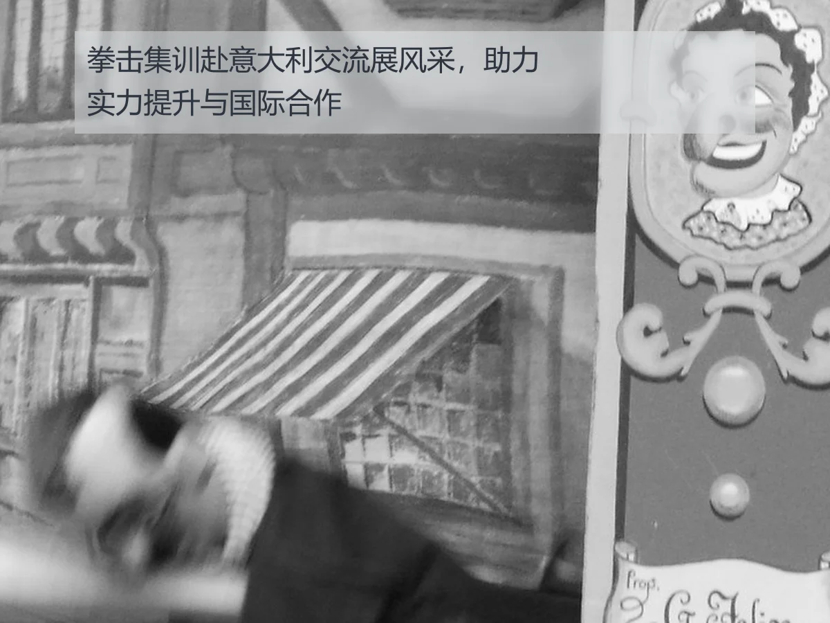拳击集训赴意大利交流展风采，助力实力提升与国际合作